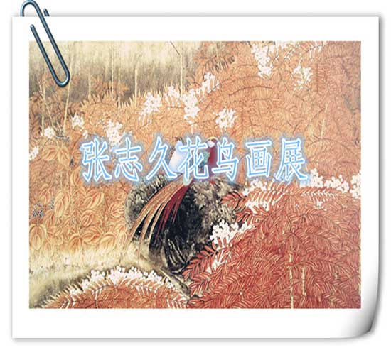 1651175169105539.jpg 201412291402020596.jpg