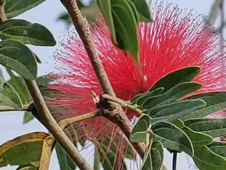 1706857836592123.jpg image8-(1).jpg