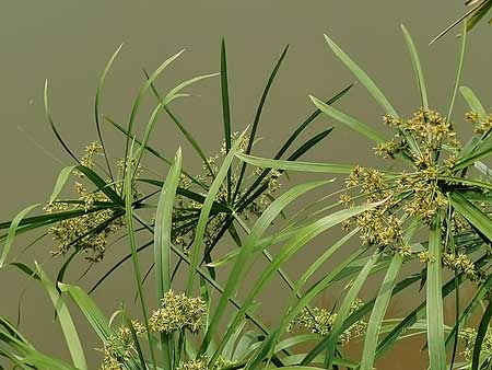 1706857864593859.jpg image11.jpg