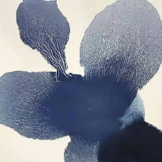 1711629911748821.jpg 202403281642361086656547.jpg