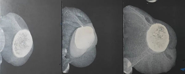 1714293520131509.jpg 202404281435561197246177.jpg