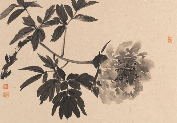 1735818017861182.jpg 202501021441351110752337.jpg