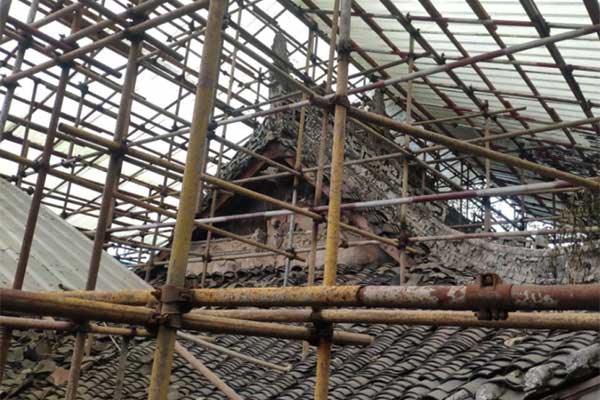 1736448342112198.jpg 20250110001606508291139.jpg