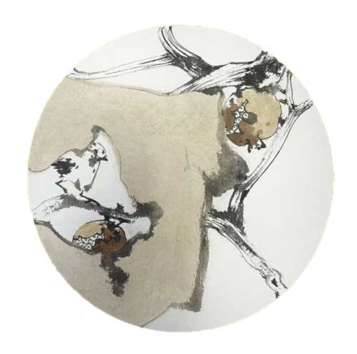 1737051566816000.jpg 202501162124421441323394.jpg